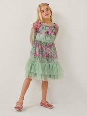 Monsoon Green Nadia Long Sleeve Floral Tulle Party Dress - Image 1 of 4