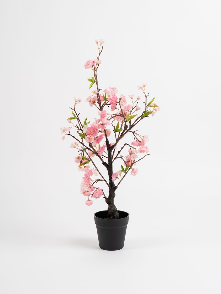 Scottish Everlastings Ltd Pink Artificial Cherry Blossom Tree - Image 3 of 3 Scottish Everlastings Ltd Pink Artificial Cherry Blossom Tree - Image 3 of 3