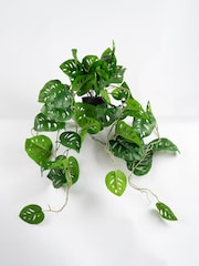 Scottish Everlastings Ltd Green Artificial Trailing Monkey Mask Plant - Image 3 of 3