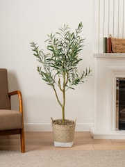 Scottish Everlastings Ltd Green Artificial Olive Tree in Basket - Image 1 of 3
