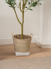 Scottish Everlastings Ltd Green Artificial Olive Tree in Basket - Image 2 of 3