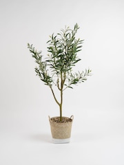 Scottish Everlastings Ltd Green Artificial Olive Tree in Basket - Image 3 of 3