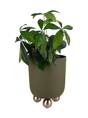 Present Time Green Large Estilo Plant Pot - Image 1 of 2