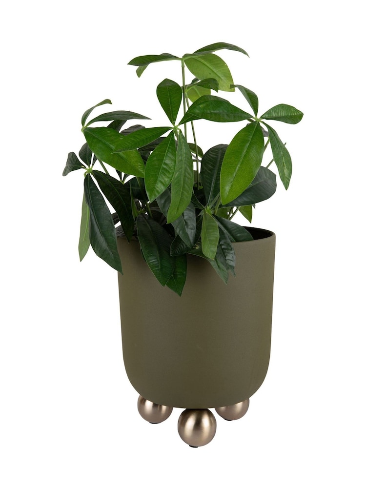 Present Time Green Large Estilo Plant Pot - Image 1 of 2 Present Time Green Large Estilo Plant Pot - Image 1 of 2