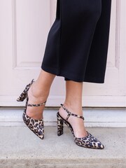 Novo Animal Indie Point Toe Strappy Court Shoes - Image 1 of 6
