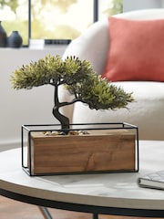 Artificial Bonsai Tree in Bronx Wooden Trough - 1şəkildən 1 şəkil