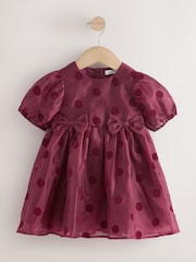 Burgundy Red Puff Sleeve Bow Detail Occasion Dress (3mths-8yrs) - Image 5 of 7