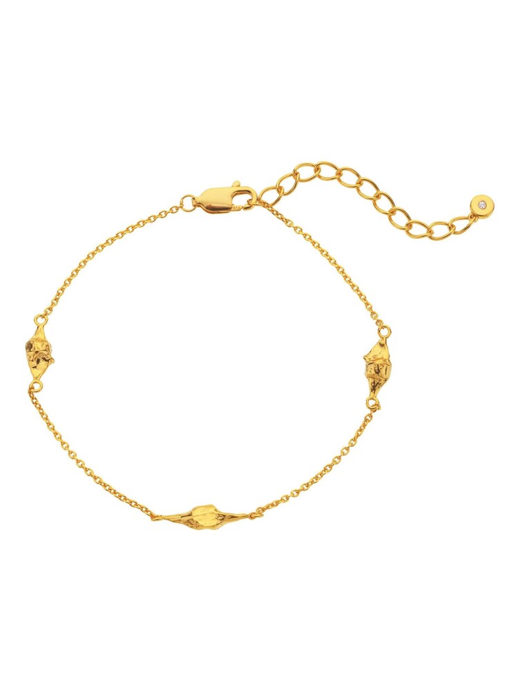 Hot Diamonds Gold Tone HD X GE Muse Bracelet - صورة 3 من 3 Hot Diamonds Gold Tone HD X GE Muse Bracelet - صورة 3 من 3