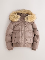 Superdry Taupe Brown Everest Padded Bomber Coat - Image 8 of 15