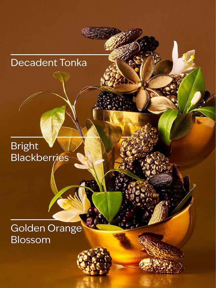 Bath & Body Works Touch of Gold Body Lotion 236ml - Image 3 of 3