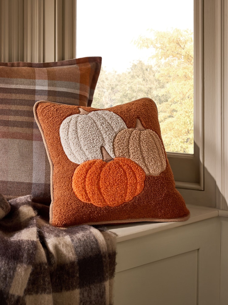 Orange 43 x 43cm Borg Pumpkin Cushion - Image 1 of 4