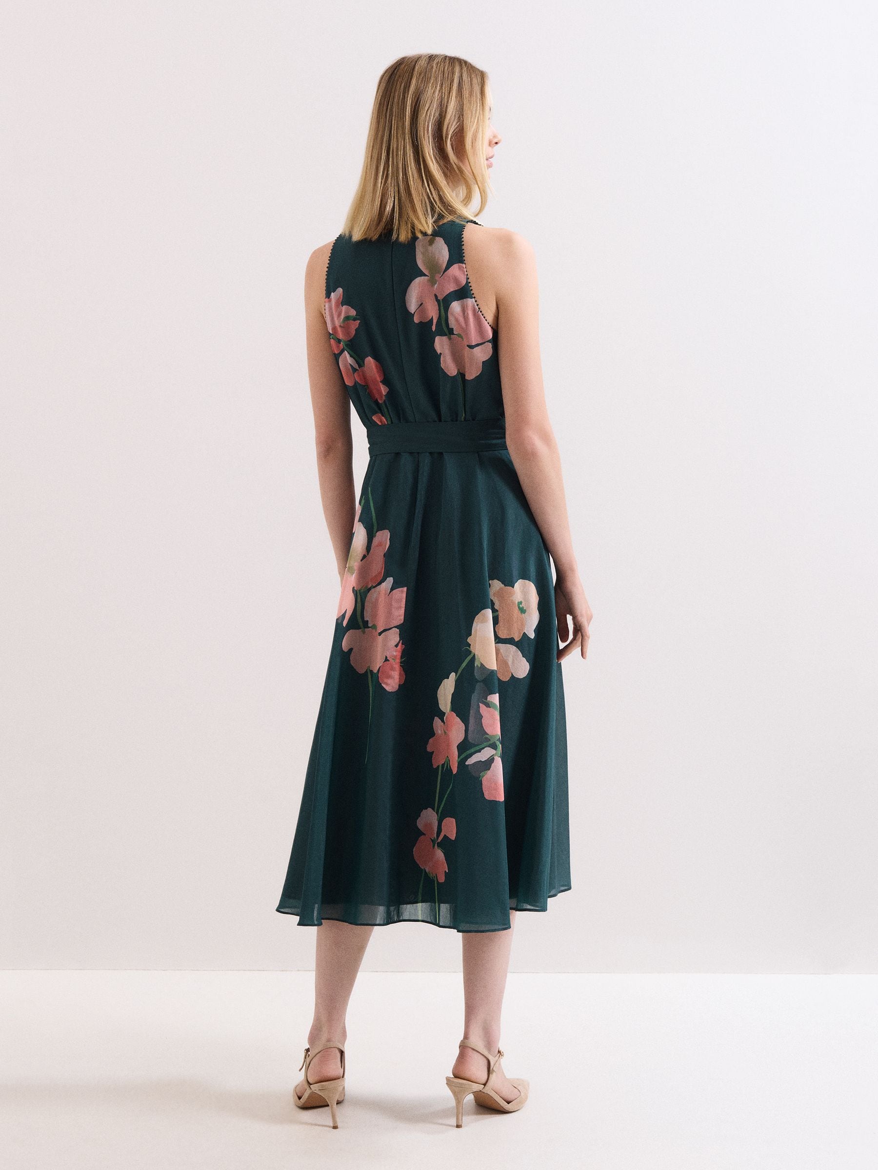Buy Phase Eight Blue Lucinda Dress from Next USA