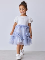 Baker by Ted Baker Pale Blue Floral Ruffle Mesh Tiered Mockable Dress - Image 1 of 12
