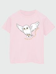 Brands In Harry Potter T-Shirts 3 Pack - Imagen 2 de 4