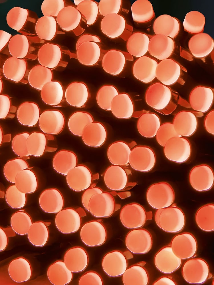 Premier Decorations Ltd Red 360 LED Battery Operated Berry Bright Lights - Image 1 of 2 Premier Decorations Ltd Red 360 LED Battery Operated Berry Bright Lights - Image 1 of 2