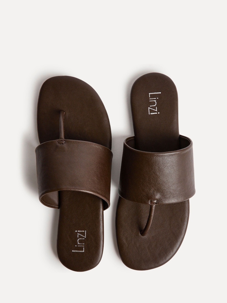 Marrón - Linzi Amara Toe Post Flat Sandals - Imagen 5 de 5