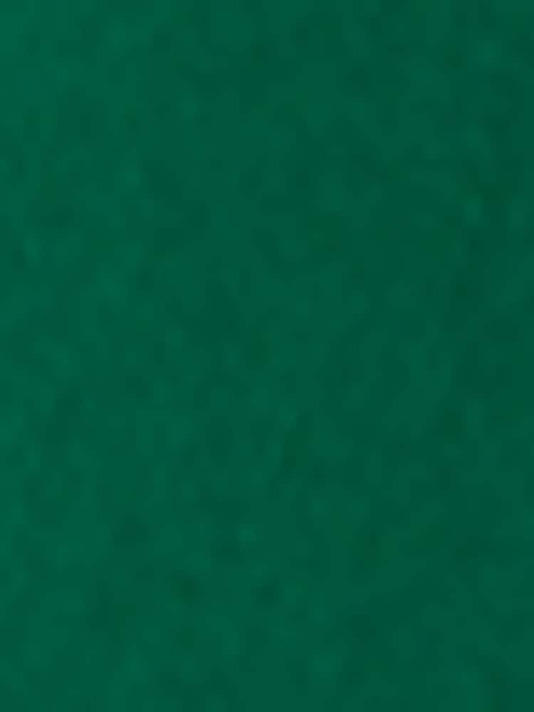 Polo Ralph Lauren Green Polo Sport Twill Cap - Image 5 of 5 Polo Ralph Lauren Green Polo Sport Twill Cap - Image 5 of 5