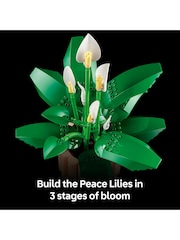 LEGO Botanicals Peace Lily Artificial Plant Building Toy 11504 - Image 5 of 8