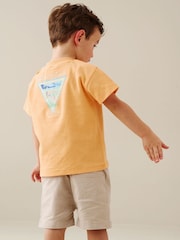 Angel & Rocket Grey Quinn Stone Chino Shorts - Image 5 of 5