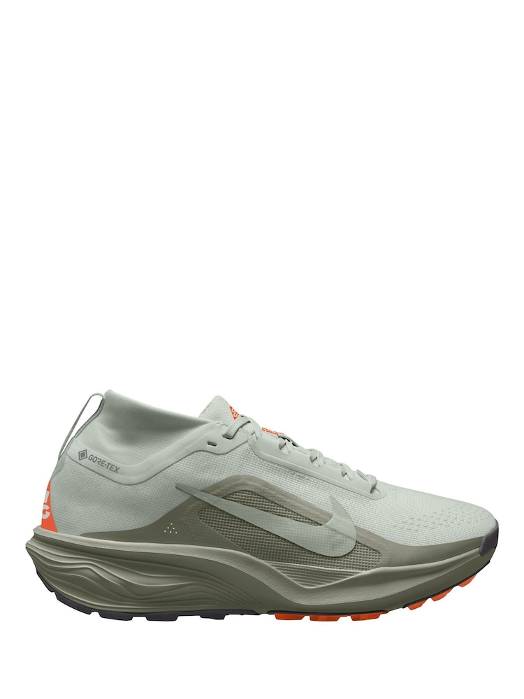 Nike Light Silver ACG Pegasus Trail GORE-TEX Running Trainers - Image 1 of 4 Nike Light Silver ACG Pegasus Trail GORE-TEX Running Trainers - Image 1 of 4