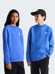Azul - Sudadera The North Face Juvenil Evolution Simple Dome - Imagen 3 de 5