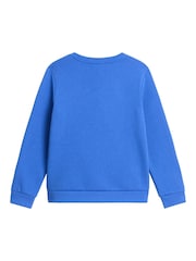 Azul - Sudadera The North Face Juvenil Evolution Simple Dome - Imagen 5 de 5