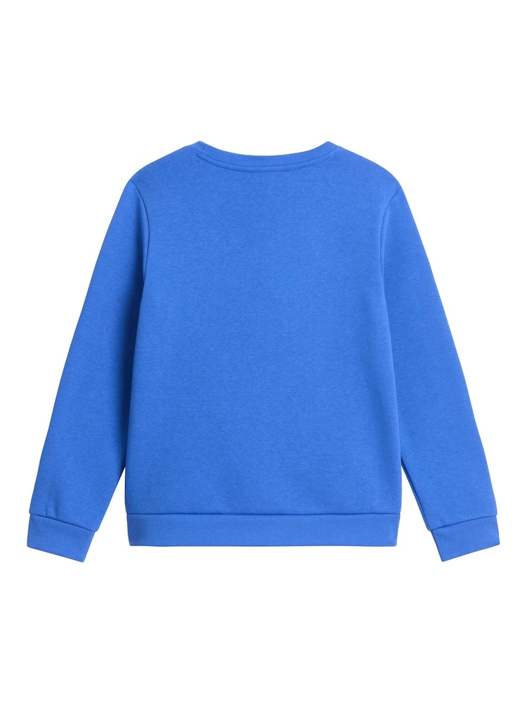 Azul - Sudadera The North Face Juvenil Evolution Simple Dome - Imagen 5 de 5