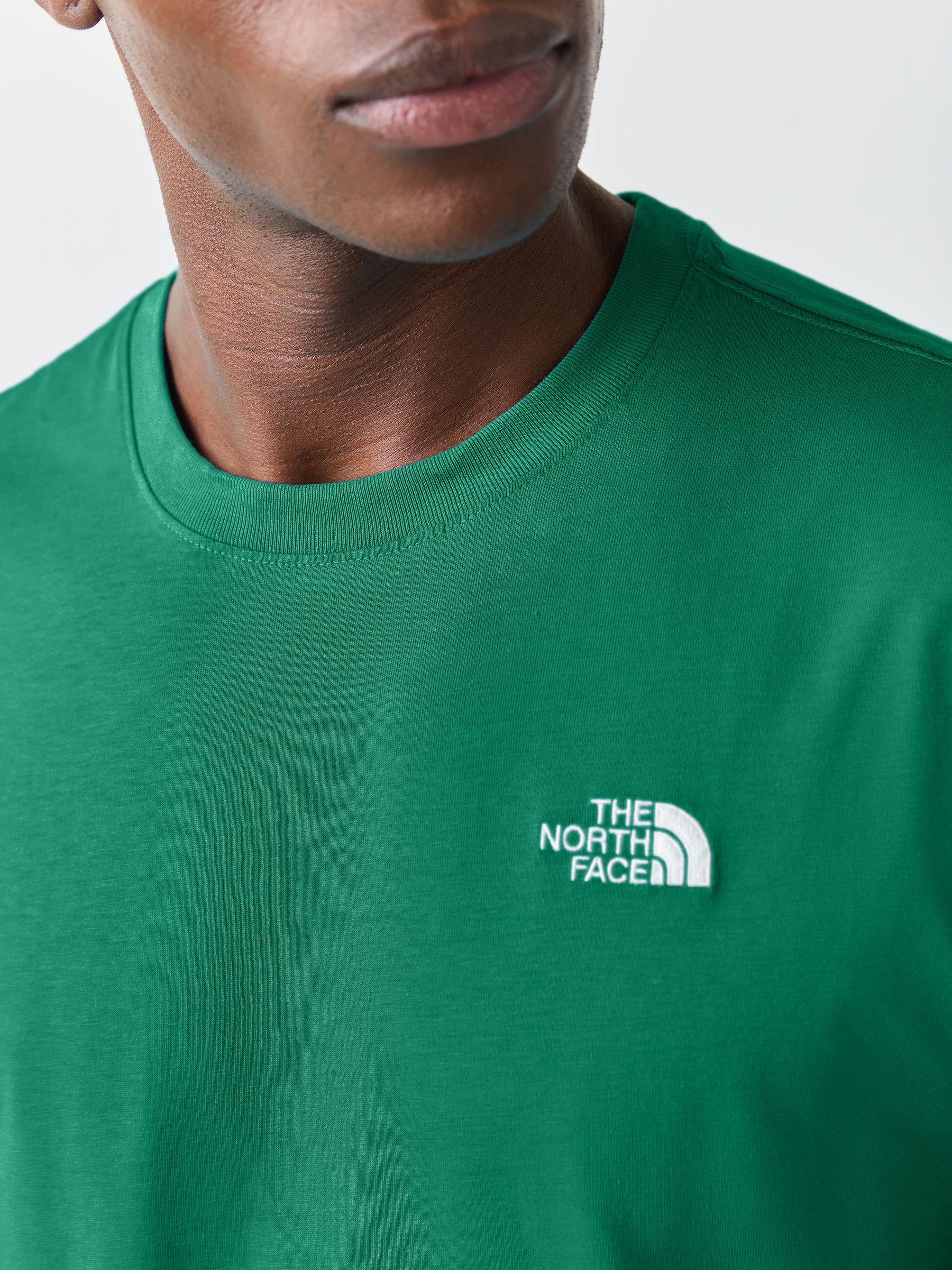 Next：日本 ダークグリーン - The North Face Simple Dome Tシャツ