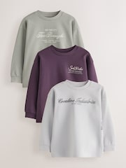 Grey/Sage/Berry - Heavyweight Long Sleeve T-Shirts 3 Pack (3-16yrs) - Attēls 1 no 7
