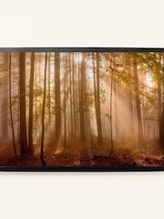 Laura Ashley Brown Sunlit Trees Large Frame - Image 2 of 4