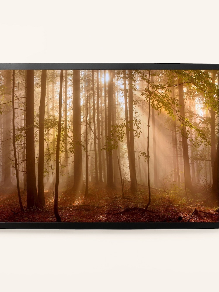 Laura Ashley Brown Sunlit Trees Large Frame - Image 2 of 4