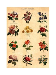 Laura Ashley Multi Botanical Flowers Large Frame - Image 4 of 4