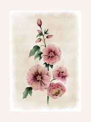 Laura Ashley Red Hollyhocks Flower Medium Frame Wall Art - Image 4 of 4