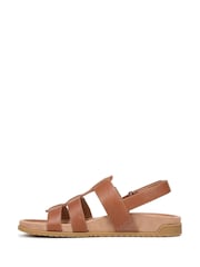 Vionic Brown Eureka Regular Fit Arch Support Strappy Sandals - Image 7 of 7