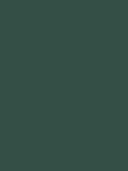 Graham & Brown Adeline Peel & Stick Paint Sample - Image 2 of 6