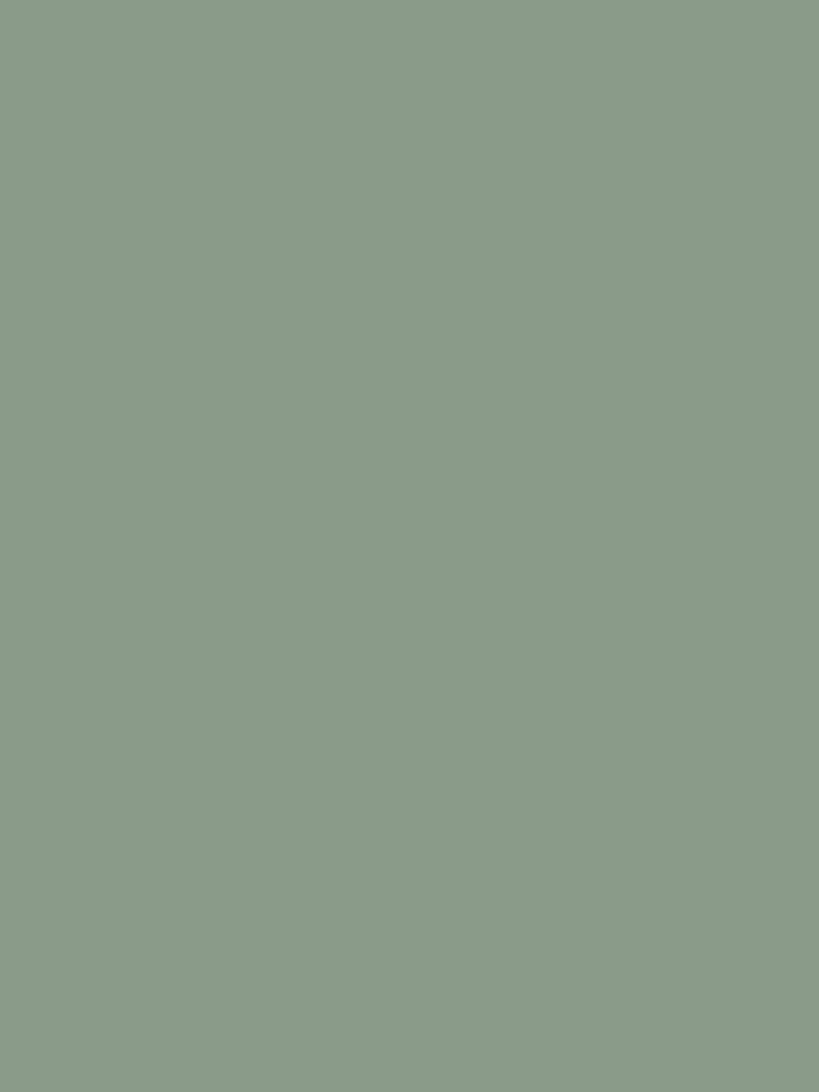Graham & Brown Accrington Road Peel & Stick Paint Sample - Image 2 of 6 Graham & Brown Accrington Road Peel & Stick Paint Sample - Image 2 of 6