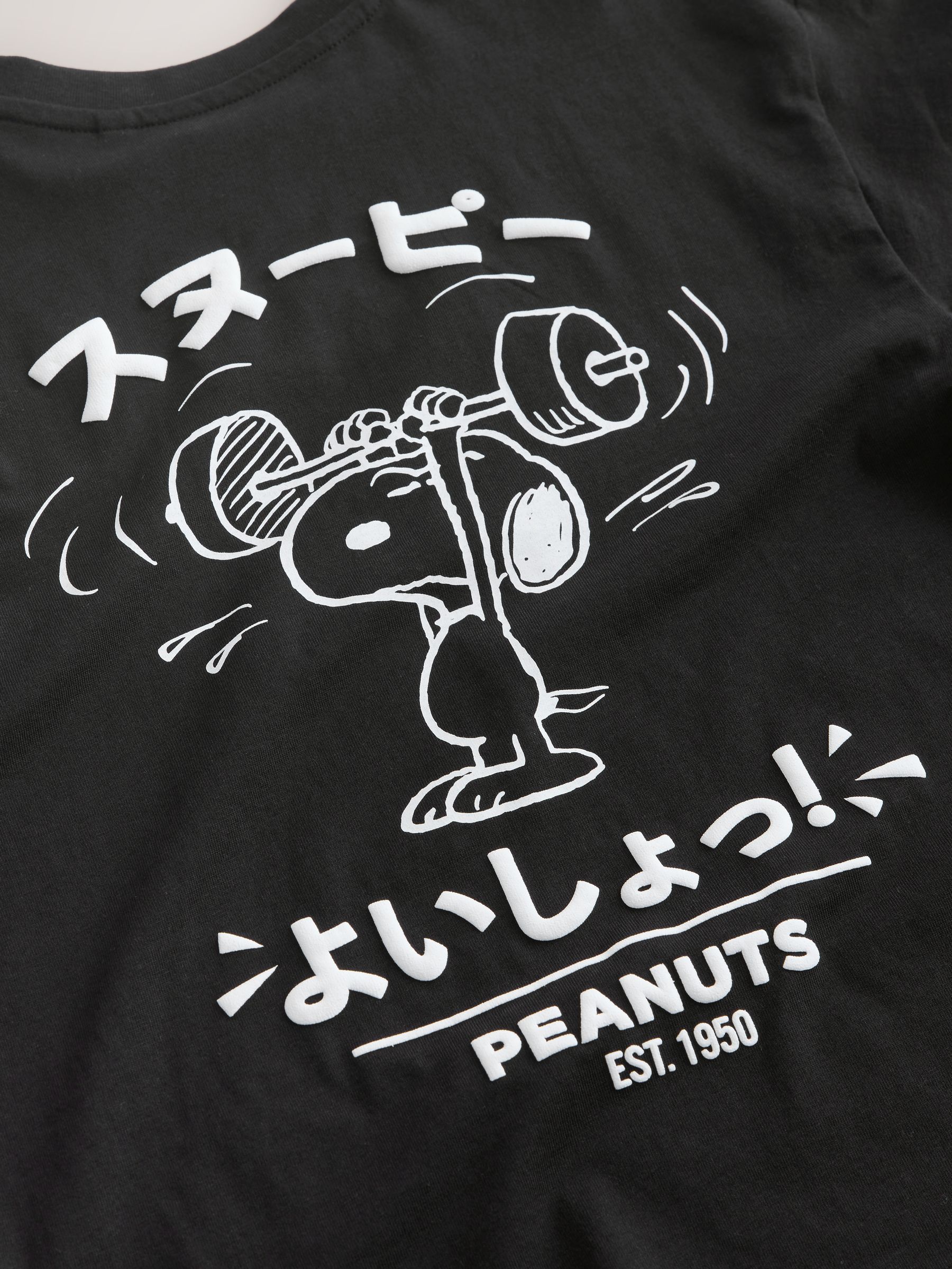 Buy Black Snoopy Short Sleeve T-Shirt (3-16yrs) from Next Netherlands