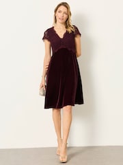 FatFace Thea Wine Petite Velvet and Lace Dress - Image 1 of 8