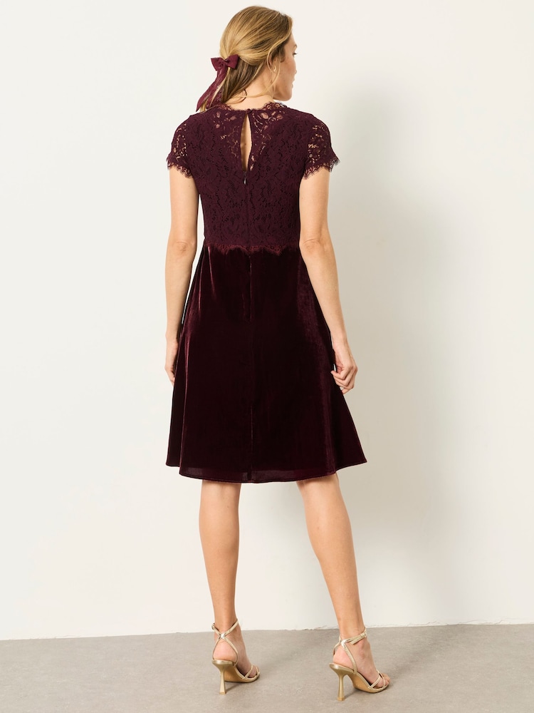 FatFace Thea Wine Petite Velvet and Lace Dress - Image 2 of 8 FatFace Thea Wine Petite Velvet and Lace Dress - Image 2 of 8