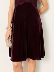 FatFace Thea Wine Petite Velvet and Lace Dress - Image 3 of 8