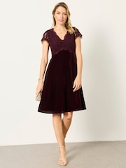FatFace Thea Wine Petite Velvet and Lace Dress - Image 5 of 8