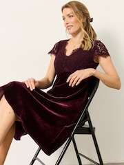 FatFace Thea Wine Petite Velvet and Lace Dress - Image 7 of 8