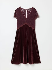 FatFace Thea Wine Petite Velvet and Lace Dress - Image 8 of 8