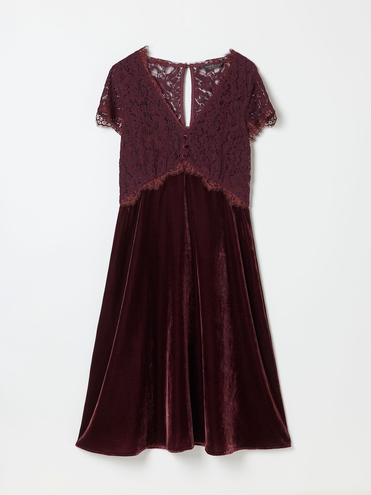 FatFace Thea Wine Petite Velvet and Lace Dress - Image 8 of 8 FatFace Thea Wine Petite Velvet and Lace Dress - Image 8 of 8