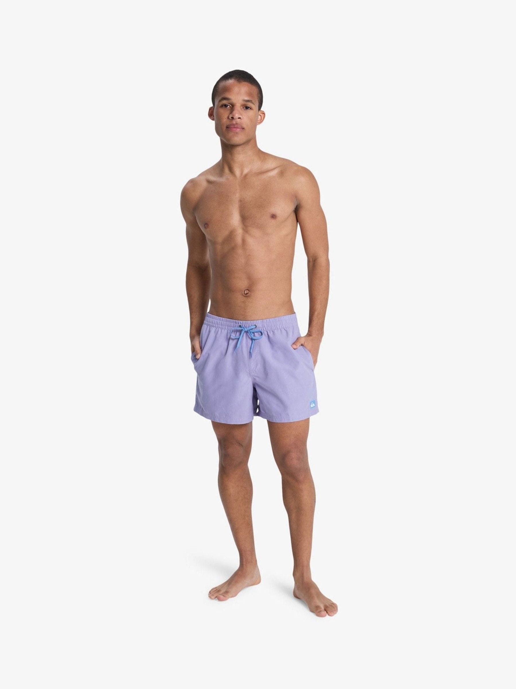 Buy Quiksilver Lilac Purple Everyday Volley 15