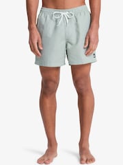 Quiksilver Seersucker Everyday Deluxe Volley 15" Swim Shorts - صورة 1 من 8