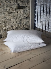 Early's of Witney Luxury  And Down Surround 2 Pack White Pillow - Image 1 of 3