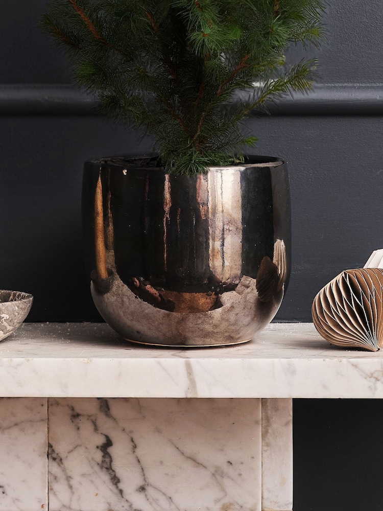 Beards & Daisies Bronze Picea Tree & Pablo Pot - Image 2 of 3 Beards & Daisies Bronze Picea Tree & Pablo Pot - Image 2 of 3