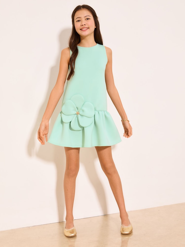 sachin and babi light blue dress Buy Lipsy Mint Green 3D Flower Scuba Occasion Dress (5-16yrs) from Next USA
