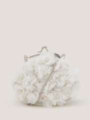 كريم - Monsoon Appliqué Floral Cluster Clip Frame Bag - صورة 1 من 3